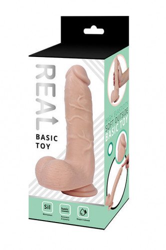   Real Basic Toy     21 , 