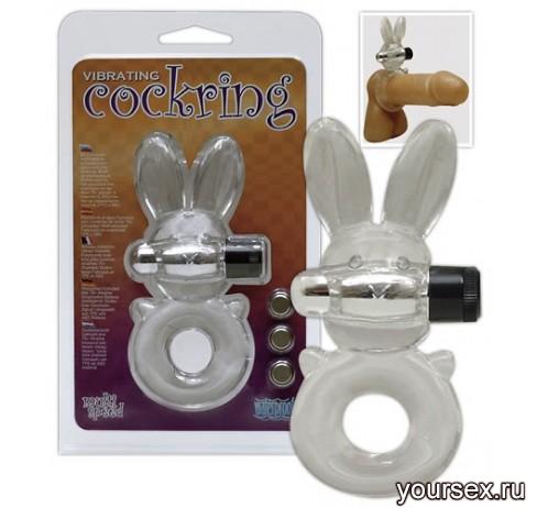    COCKRING