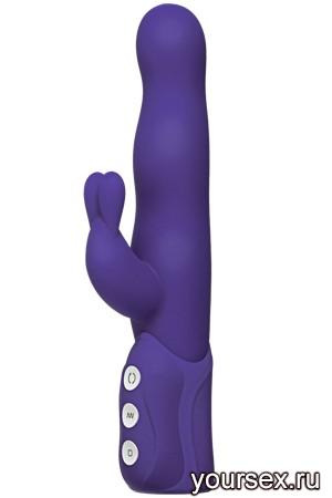  - iVibe Select iRabbit Purple 