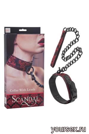    Scandal Collar with Leash  -