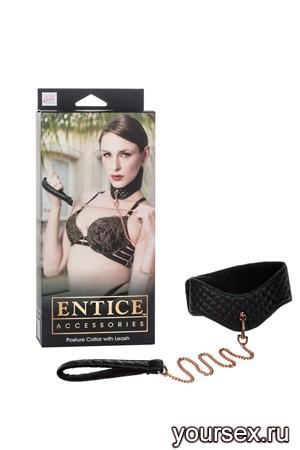      Entice Posture Collar with Leash   