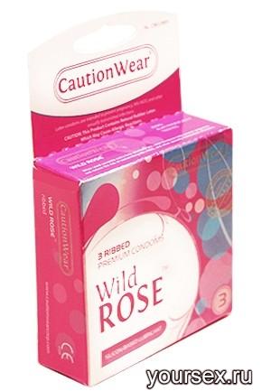   Caution Wear Wild Rose 3 